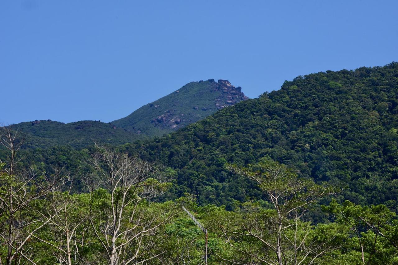 Daintree Peaks Eco Stays Exterior foto