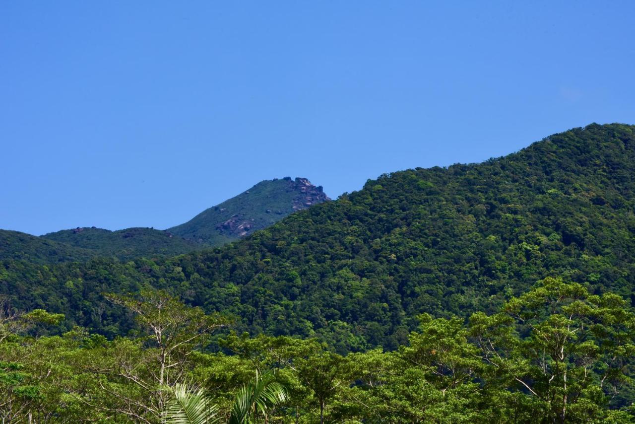 Daintree Peaks Eco Stays Exterior foto