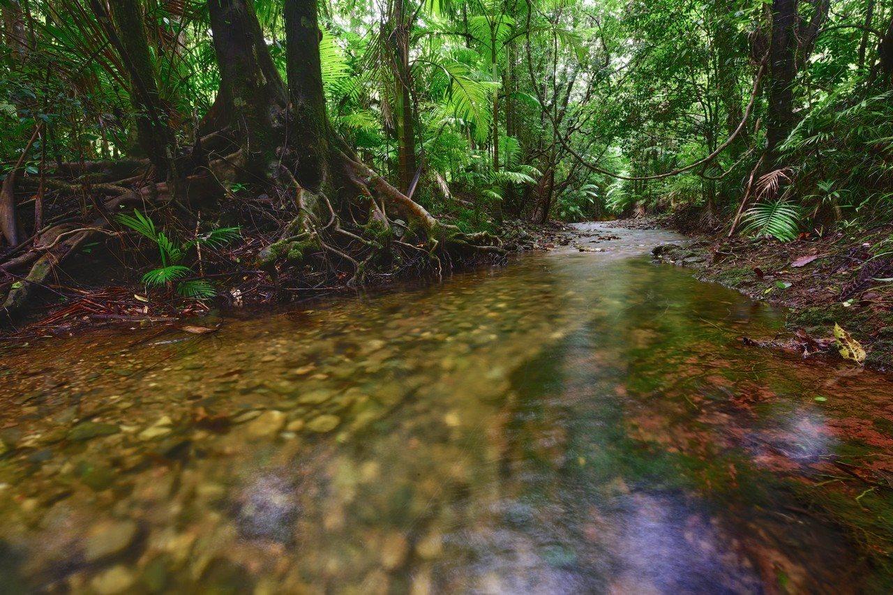 Daintree Peaks Eco Stays Exterior foto