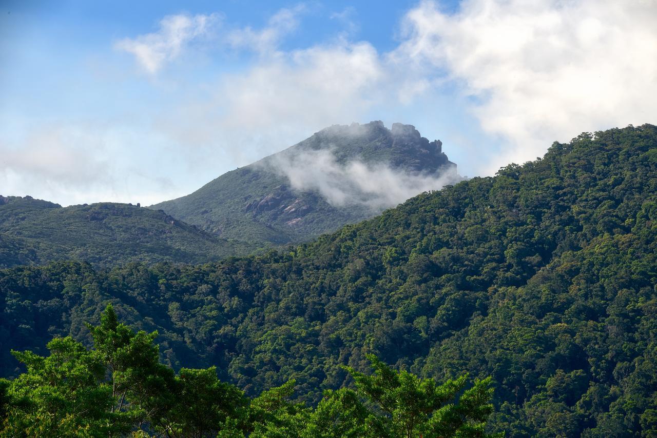 Daintree Peaks Eco Stays Exterior foto