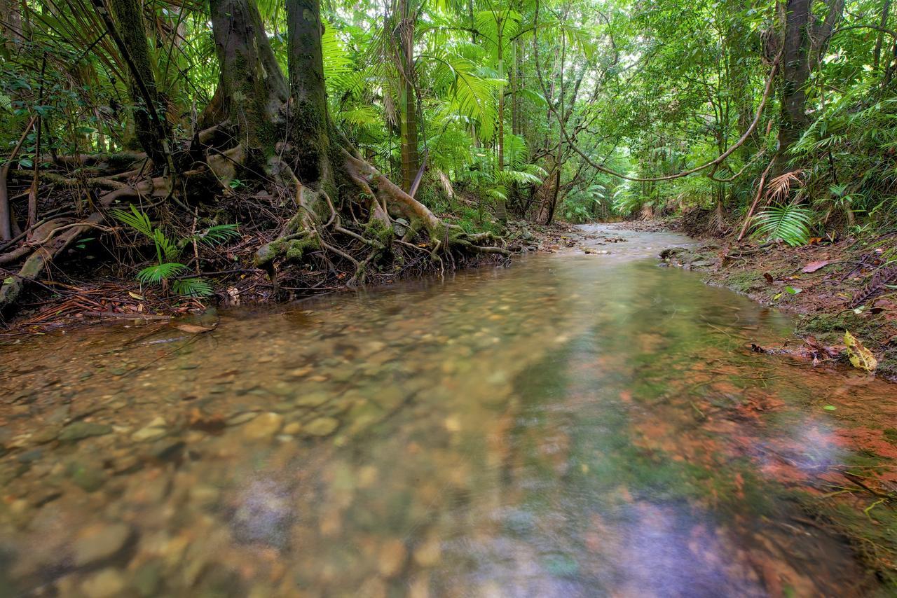 Daintree Peaks Eco Stays Exterior foto